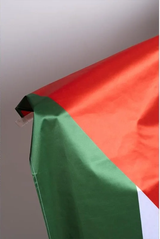 زد سي بايراك Zc Flag Palestine National Send Flag Raschel Fabric Digital Printing 200x300 cm