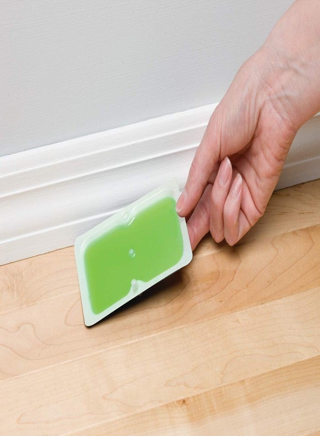 Tomcat Super Hold Glue Traps Mouse Size, 3-Pack (12 Glue Traps) - Image 2