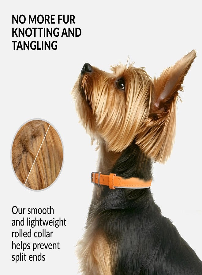 CollarDirect Reflective Rolled Leather Dog Collar, Soft Padded Round Puppy Collar, Handmade Genuine Leather Collar Dog Small Large Cat Collars 13 Colors (6-7 Inch, Orange Reflective) - Image 2