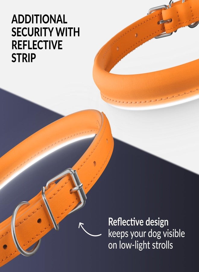 CollarDirect Reflective Rolled Leather Dog Collar, Soft Padded Round Puppy Collar, Handmade Genuine Leather Collar Dog Small Large Cat Collars 13 Colors (6-7 Inch, Orange Reflective) - Image 4
