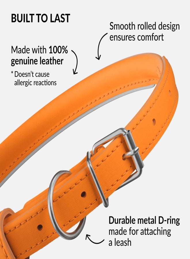 CollarDirect Reflective Rolled Leather Dog Collar, Soft Padded Round Puppy Collar, Handmade Genuine Leather Collar Dog Small Large Cat Collars 13 Colors (6-7 Inch, Orange Reflective) - Image 3