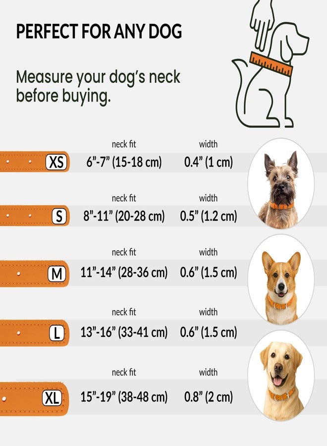 CollarDirect Reflective Rolled Leather Dog Collar, Soft Padded Round Puppy Collar, Handmade Genuine Leather Collar Dog Small Large Cat Collars 13 Colors (6-7 Inch, Orange Reflective) - Image 5