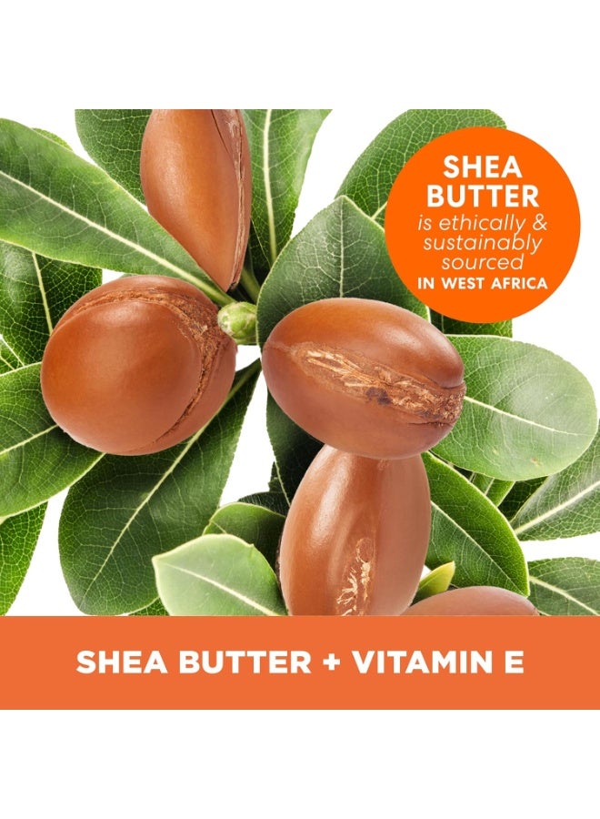 بالمرز لوشن الجسم اليومي بتركيبة زبدة الشيا مع فيتامين E 250 مل - Image 3