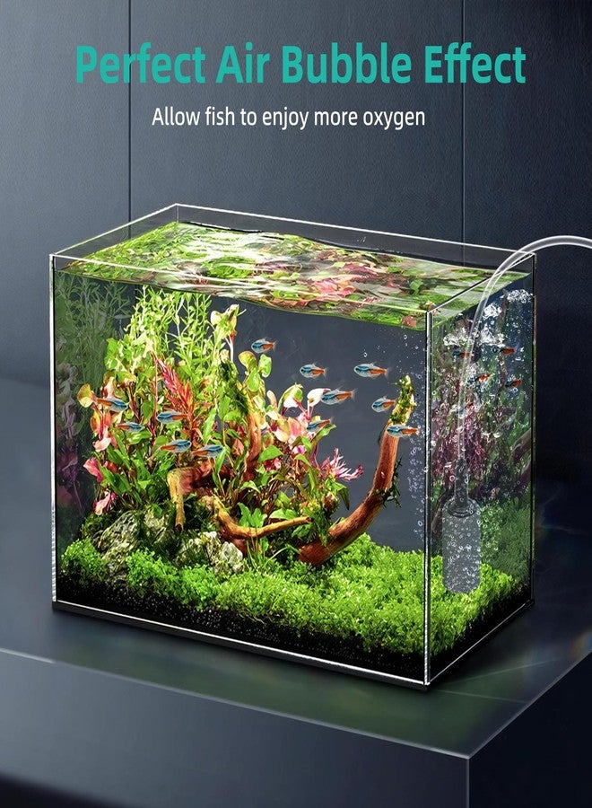 داتو حجر تهوية لحوض السمك من داتو، مقاس 1 بوصة، عبوة من 12 قطعة، موزع فقاعات لحوض السمك، مصنوع من كربيد السيليكون، مناسب لمضخات الهواء وأحواض السمك والبرك وأنظمة الزراعة المائية. - Image 2