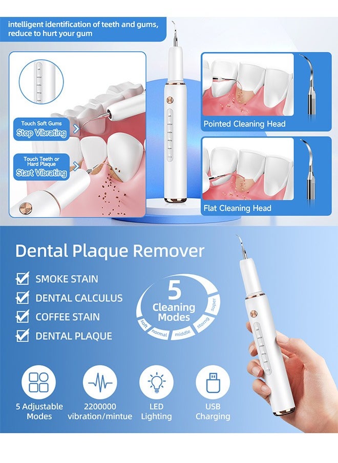 CURVY MOON - Ultrasonic Dental Scaler Set for Teeth,  Electric Sonic Plaque Remover for Teeth, 5 Modes Rechargeable Teeth Cleaning Kit, 2 Replaceable Heads (White) - Image 1