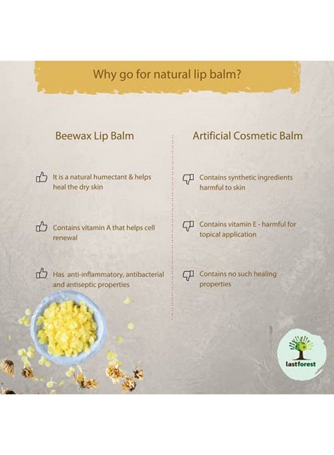 Last Forest Handcrafted Natural Beeswax Lip Balm (White Cloud Vanilla) 5G - Image 5