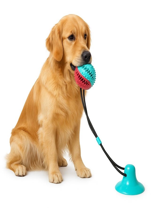 Petgoof™ Combo of Dog Flying Saucer Ball Outdoor Flat Throw Doggy Disc, Changeable Shape, Toy and Tug Toy Interactive Dog Toys for Aggressive Chewers - Image 3