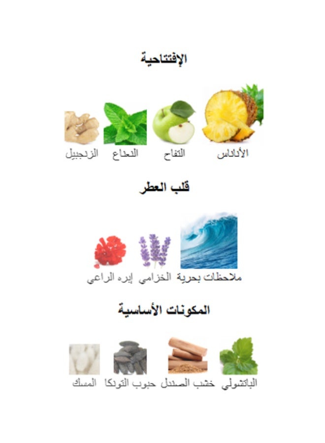 لطافة نجدية إنتنس أو دو بارفان للرجال 100 مل - Image 5