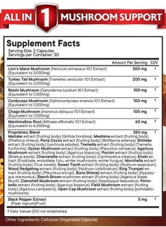 New Age Lions Mane 3000mg 20in1 Mushroom Supplement with Turkey Tail 2000mg Reishi 1000mg Cordyceps Chaga 1000mg with Marshmallow Root 120 Count  - Image 2