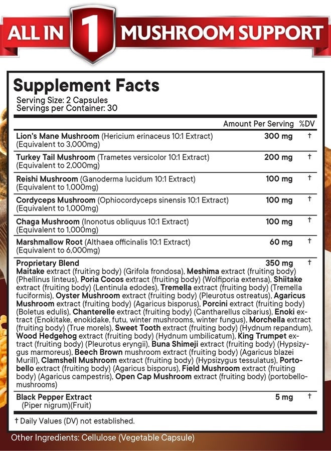New Age Lions Mane 3000mg 20in1 Mushroom Supplement with Turkey Tail 2000mg Reishi 1000mg Cordyceps Chaga 1000mg with Marshmallow Root 120 Count  - Image 2