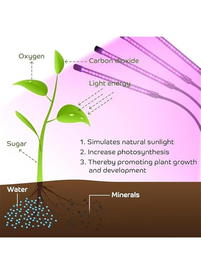 HOOKOR Grow Light Plant Lights for Indoor Plants, Clip on Grow Lights with Timer, Full Spectrum Grow Lights for Seed Starting.Adjustable Gooseneck,suitable for Various Plants Growth (4 Tubes) - Image 2
