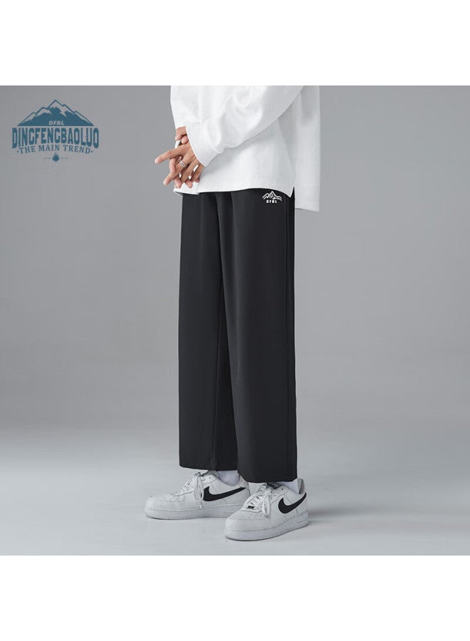 Dingfengbaoluo Men's Summer Straight-leg Ice Silk Loose Casual Simple Long Pants Df1216qk Black 3XL - Image 3