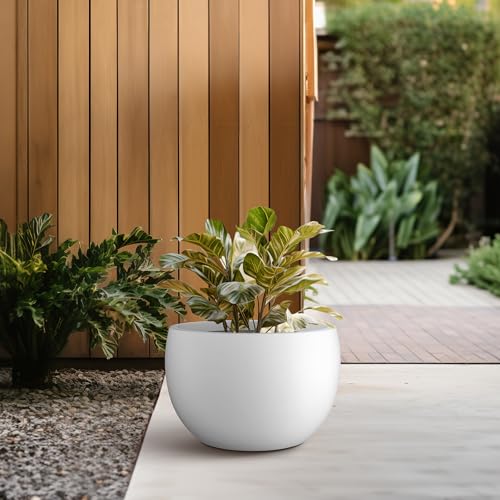 Kante 11.8" Dia Round Concrete Planter, Outdoor/Indoor Large Bowl Plant Pots with Drainage Hole and Rubber Plug for Garden Patio Balcony Home, Pure White - Image 5
