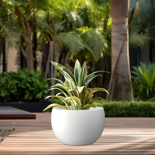 Kante 11.8" Dia Round Concrete Planter, Outdoor/Indoor Large Bowl Plant Pots with Drainage Hole and Rubber Plug for Garden Patio Balcony Home, Pure White - Image 4