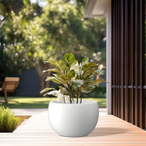 Kante 11.8" Dia Round Concrete Planter, Outdoor/Indoor Large Bowl Plant Pots with Drainage Hole and Rubber Plug for Garden Patio Balcony Home, Pure White - Image 3