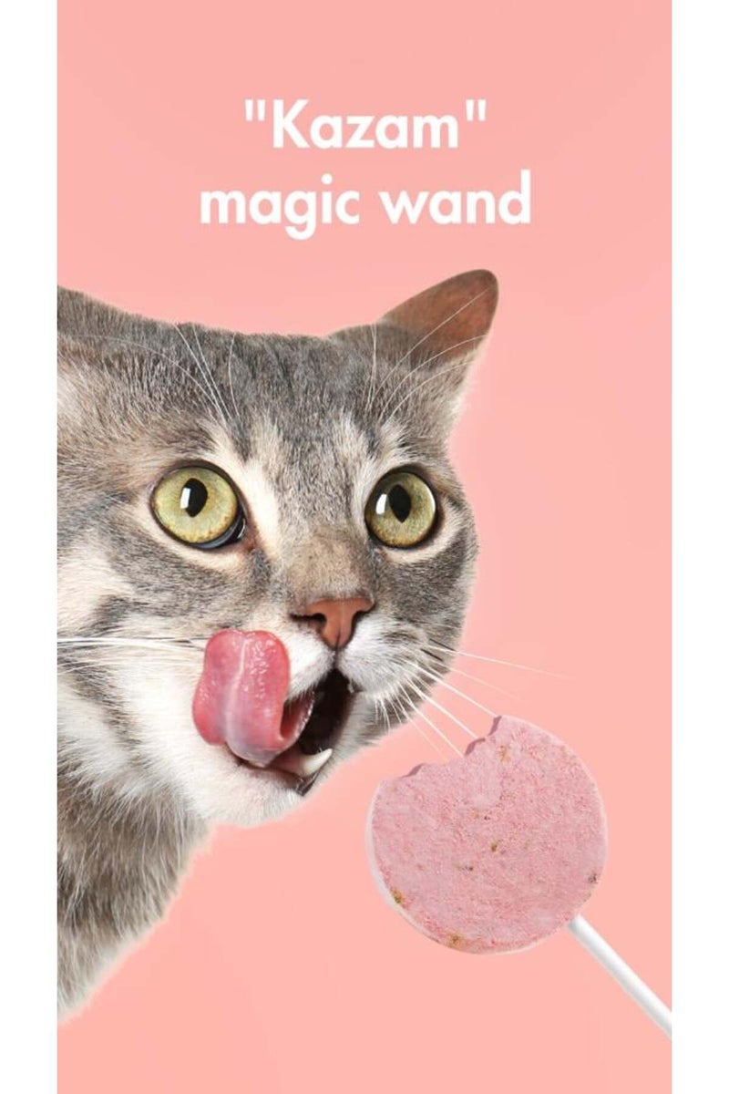 Ranova Freeze-Dried Lollipop Treats for Cats, Assorted Flavours (25 Pieces) - Image 4