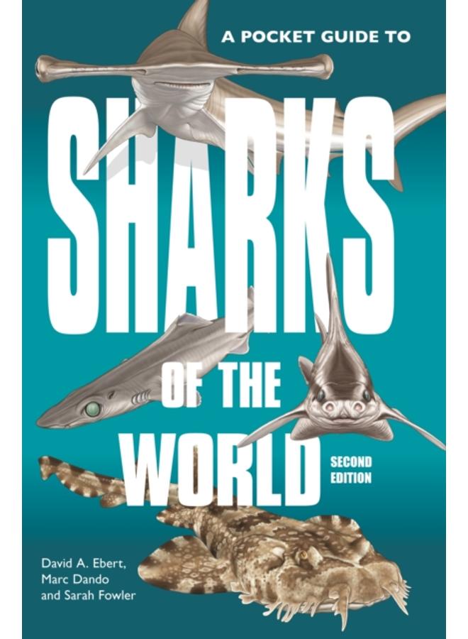 دليل جيب لأسماك القرش في العالم: الطبعة الثانية