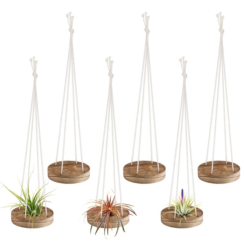 6 Pcs Hanging Wooden Air Plant Holder 3 Round Airplants Live Hanger with Ropes Rustic Tillandsia Succulent Display Container Stand for Home Office Decor Housewarming Gift Excluding Plants