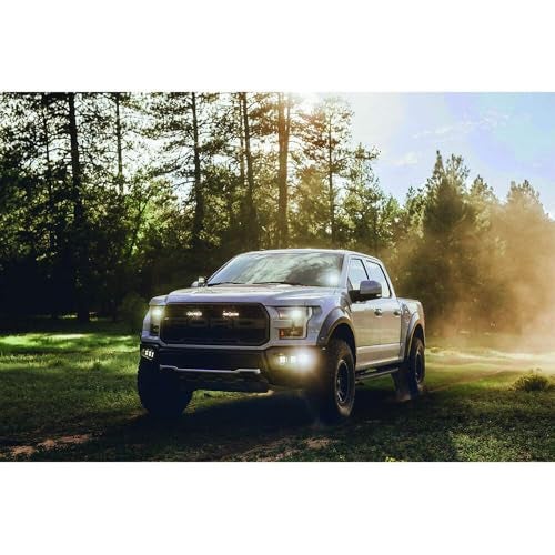 Rigid Industries D-SERIES PRO SPOT SM /2 - Image 3