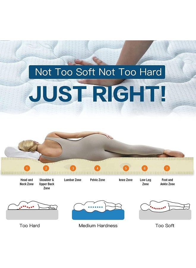 Karpentone Orthopedic Medical Mattress plus Comfopedic (Premium Series Medium Firm Feel  Not too Hard Not too Soft) Warranty 3-Years Size 200x210x23 Centimeters - pzsku/Z0B6D5DC18193278FF755Z/45/_/1724766391/b8334c1d-7051-4fb1-bec9-7579fa3215f5