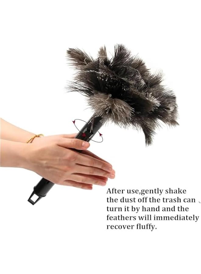 HOOKOR Retractable Ostrich Feather Duster for Cleaning, Fluffy and Natural Feather Duster with Retractable Handle， Reusable Eco-Friendly Handheld Cleaning Supplies,Dusters Killer, Mini Duster - Image 3