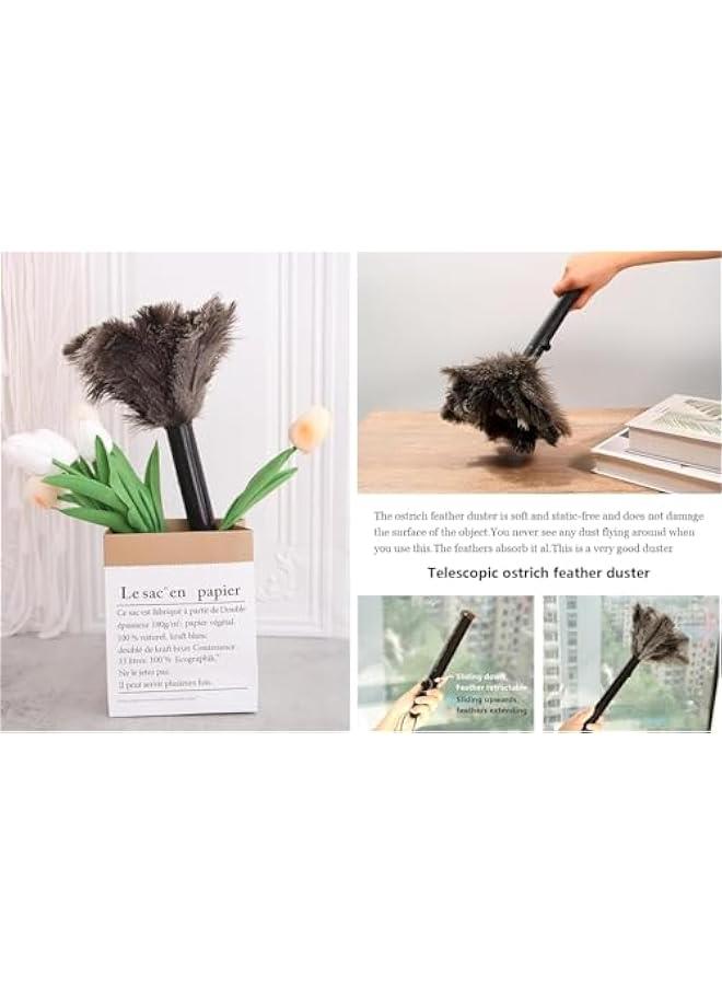 HOOKOR Retractable Ostrich Feather Duster for Cleaning, Fluffy and Natural Feather Duster with Retractable Handle， Reusable Eco-Friendly Handheld Cleaning Supplies,Dusters Killer, Mini Duster - Image 5