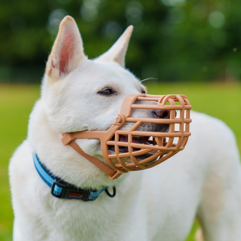 Baskerville Classic Basket Muzzle - Dog can Pant and Drink, Prevents Biting and Food Waste Scavenging, Strong TPR, Ideal for Longer Nosed Dogs, Breathable Dog Training Muzzle for Medium Dogs (Size 4) - Image 2