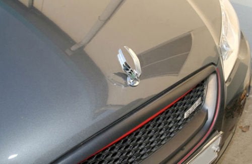 Automaze SQ+ Eagle Wing Style Car Front Hood Bonnet Emblem Ornament(ABS) - Image 3