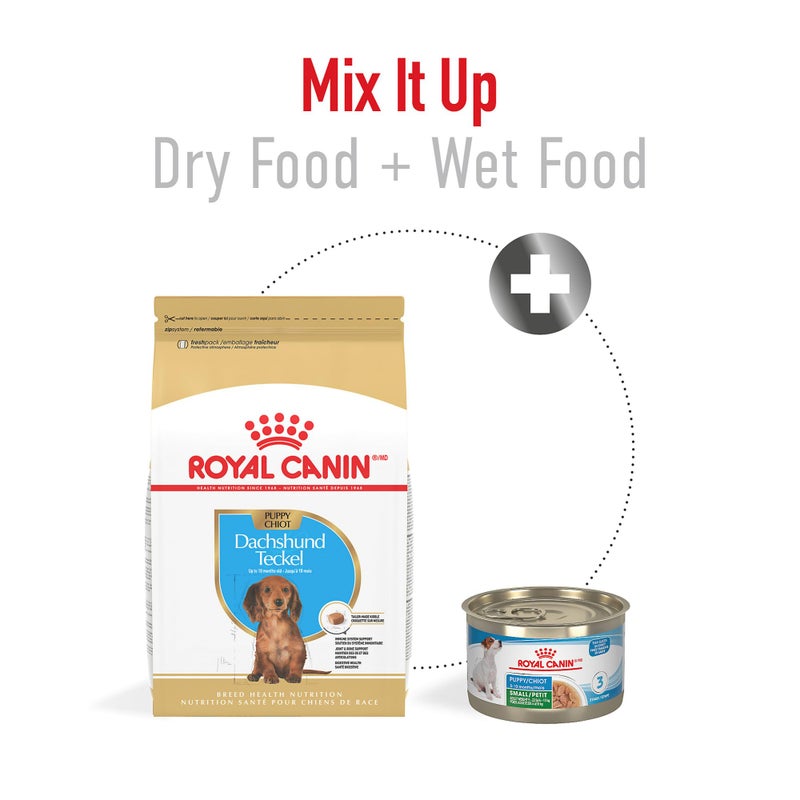 ROYAL CANIN طعام جاف للكلاب من رويال كانين مخصص لجرو الكلب من سلالة الداشهند، 2.5 رطل - Image 5