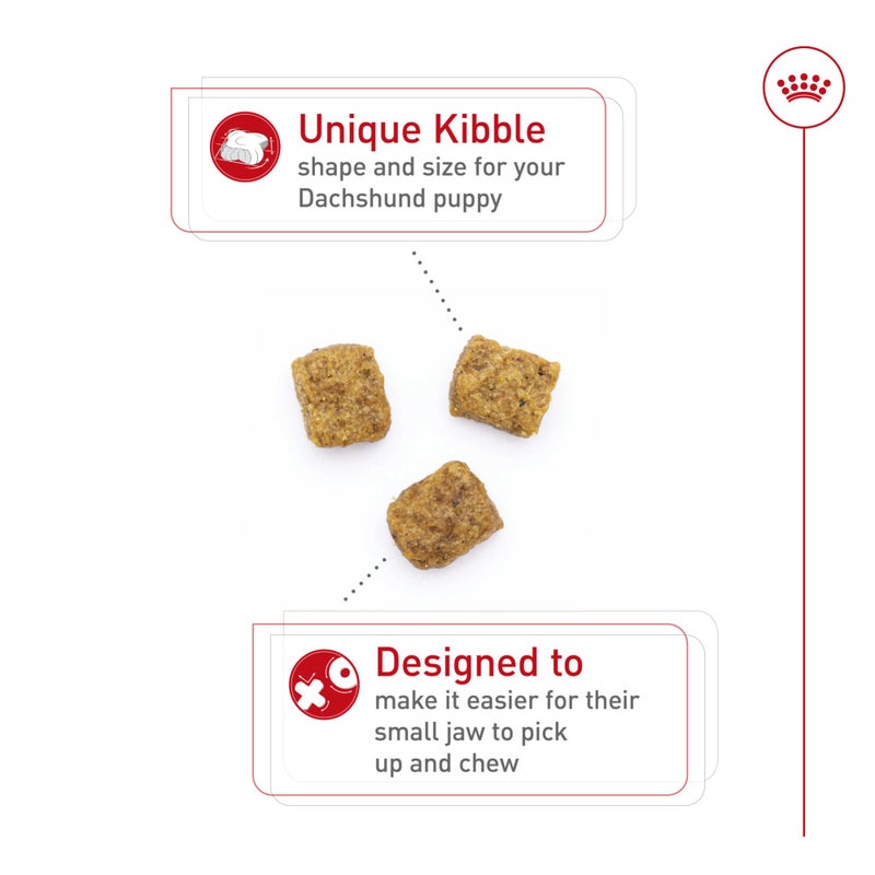 ROYAL CANIN طعام جاف للكلاب من رويال كانين مخصص لجرو الكلب من سلالة الداشهند، 2.5 رطل - Image 2