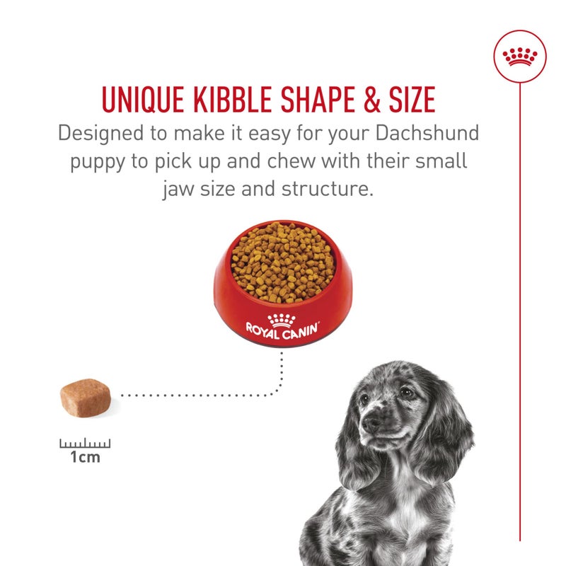 ROYAL CANIN طعام جاف للكلاب من رويال كانين مخصص لجرو الكلب من سلالة الداشهند، 2.5 رطل - Image 4