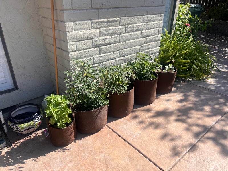 MAUI MIKE'S Root Pouch 10 Gallon/ 10 Pack Heavy Duty Grow Bag. Plant Fabric Pots with Handles. Grow Fabric Pots & Bags for Tomatoes,Vegetables and Flowers. Made from Recycled Water Bottles. - Image 4