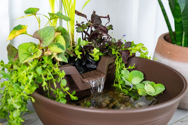 Aquascape AquaGarden Tabletop Fountain Kit (Mocha) - Image 2
