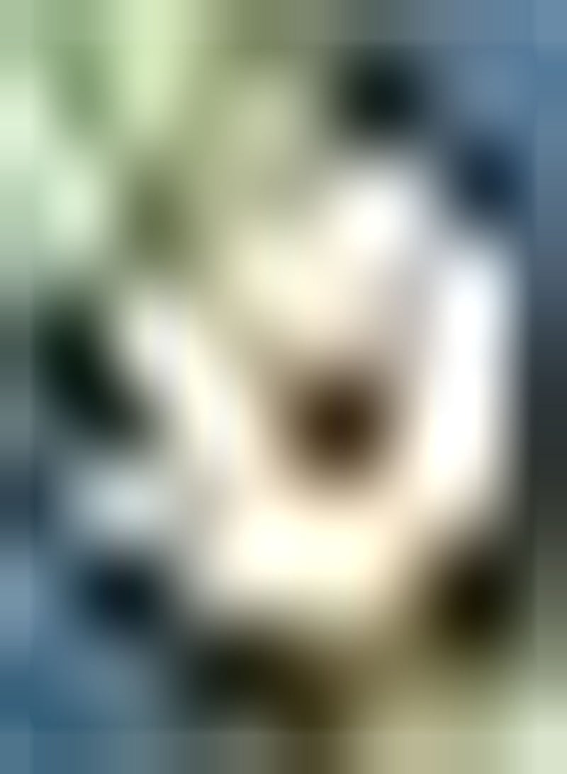 GGOOT 10pcs Roze lotuszaden wanneer de bloemen bloeien trekt de lichte geur bijen en vlinders aan om het bloembed en Frame te versieren - Image 1