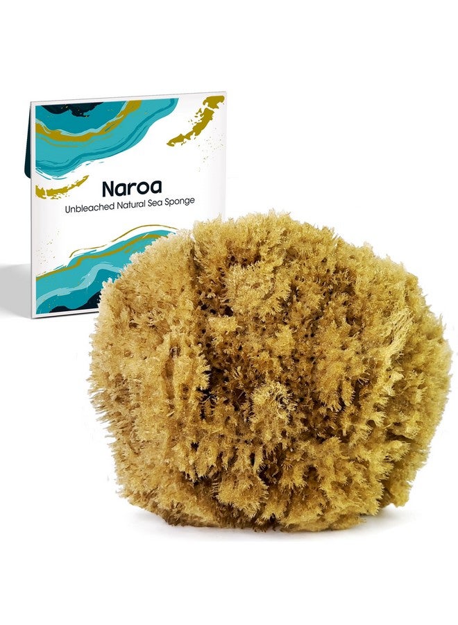 Naroa Exfoliating Natural Sponge For Bathing Bath Sea Sponge For Healthy Skin Unbleached Shower Body Scrubber Puff Eco Friendly Plastic Free Sponge (Exfoliate Medium) - Image 1