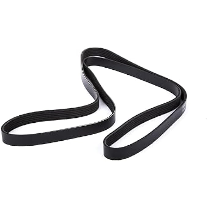 معدات أكديلكو جي إم الأصلية 12605208 حزام VRibbed Serpentine