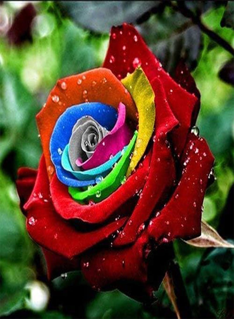 seeds Fresh 100pcs Rose Flower Seeds for Planting Mixed