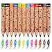 ThEast Toddlers Colored Pencils Art Supplies for Children 12 Color Pencils for Kids Cute Animal Toddler Crayons Drawing Pencil with SharpenerPack of 1 - Image 3