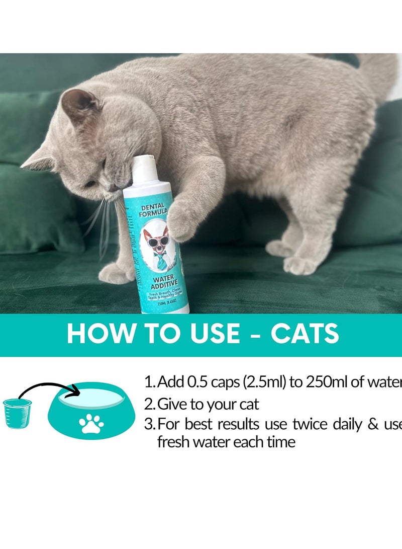 Paw Dental Formula Water Additive For Dogs and Cats Clean Teeth Healthy Gums and Fresh Breath Manage Plaque and Tartar Build Up Fuss Free No Brushing Needed Cat Dog Mouthwash  Oral Health - Image 2