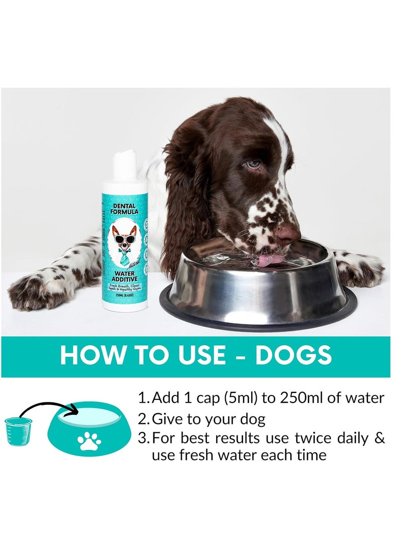 Paw Dental Formula Water Additive For Dogs and Cats Clean Teeth Healthy Gums and Fresh Breath Manage Plaque and Tartar Build Up Fuss Free No Brushing Needed Cat Dog Mouthwash  Oral Health - Image 3