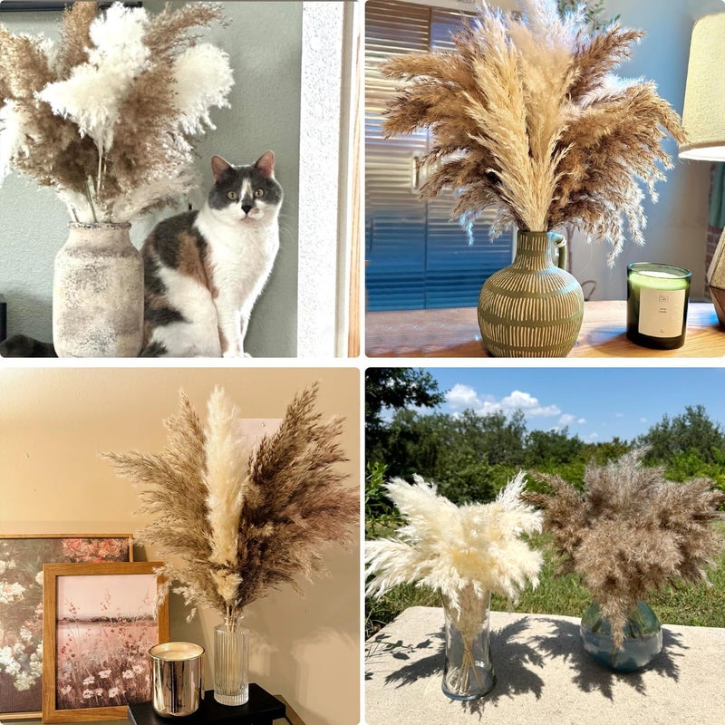 ROROUNE 30 PCS Fluffy Pompas Grass, Natural Dry Pampas Grass Small, Dried Pampas Grass Short Brown Pampass Bulk for Boho Wedding Decor Baby Shower Party Table Decor Fall Decorations for Home - Image 3