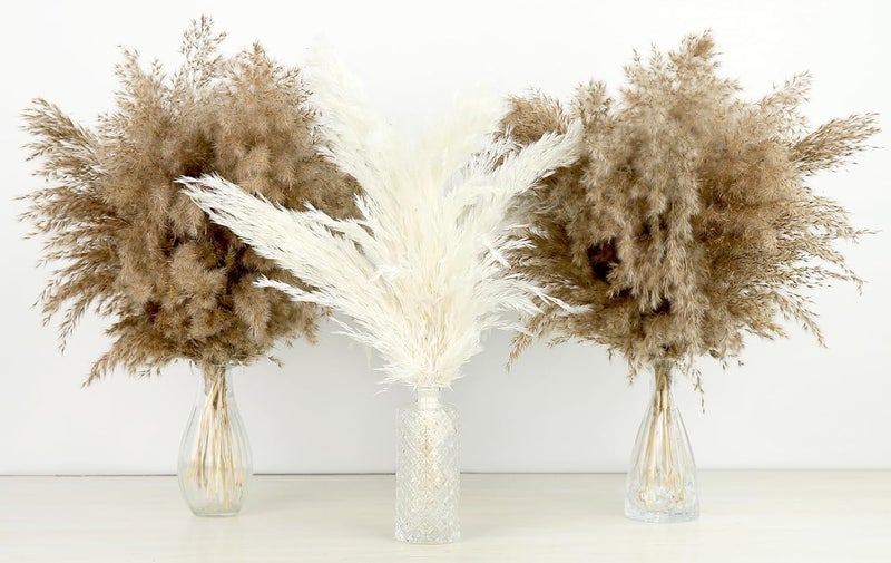 ROROUNE 30 PCS Fluffy Pompas Grass, Natural Dry Pampas Grass Small, Dried Pampas Grass Short Brown Pampass Bulk for Boho Wedding Decor Baby Shower Party Table Decor Fall Decorations for Home - Image 2