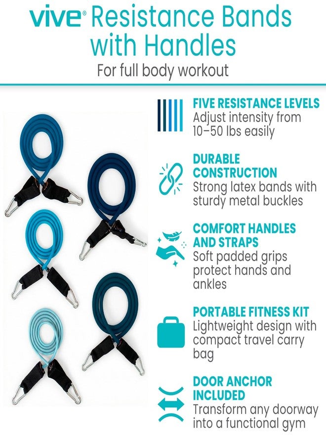 Vive Resistance Band Set (11 PCS) (with App) - Versatile Exercise Tubes with Wide Handles, Workout Poster, & Door Anchor - Adjustable 10-50 LB Tension for Full Body Home Fitness & Rehab -for Men/Women - Image 2