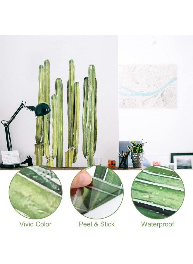 iinuu Cactus Wall Decals Peel and Stick, 11 x 35 Inch Cactus Wall Stickers for Bedroom, Vinyl Cactus Wall Decals for Living Room Nursery Office Classroom - Image 5