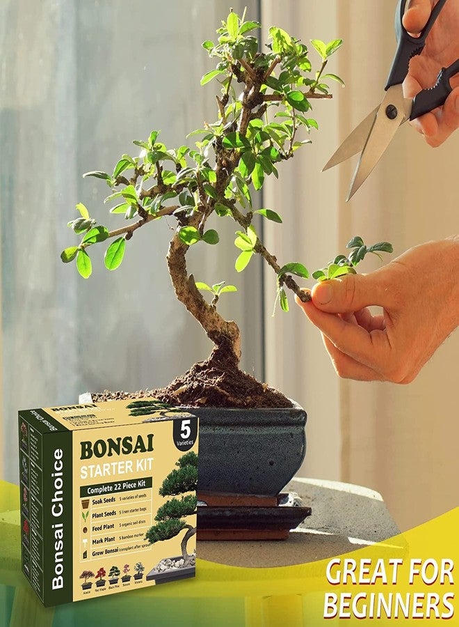 Meekear Indoor Starter Kit with Complete Planting Tools, Gardening DIY Gift for Plant Lovers - Image 5