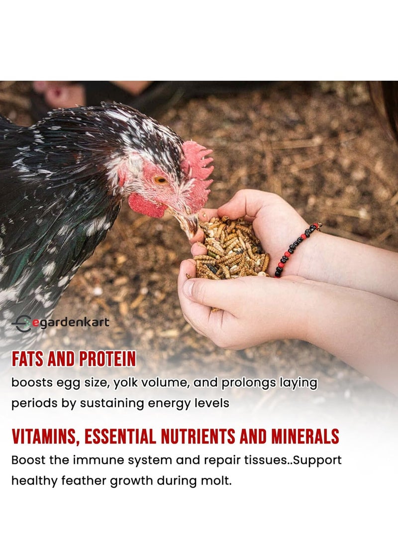 Egardenkart Egardenkart Dried Mealworms, Meal worms High-Protein Treats for Birds, Chickens, Turtles, Fish, Hamsters and Hedgehogs All Natural Animal Feed - Image 3