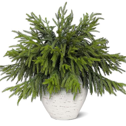 Juxdp 20 Pcs Real Touch Norfolk Pine Branches, Artificial Christmas Green Plants Branch Faux Greenery Stem Fake Pine Picks for Vase DIY Crafts Garland Wreath Xmas Indoor Outdoor Decor(18 Inches) - Image 1