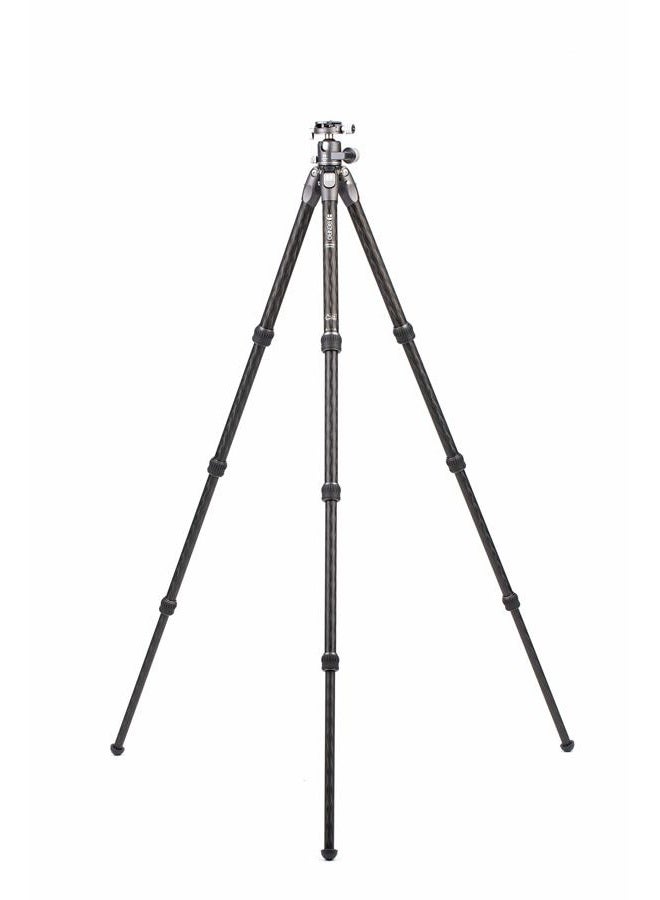 BENRO Tortoise Columnless Carbon Fibre Two Series Tripod with GX30 Ball Head - Image 3