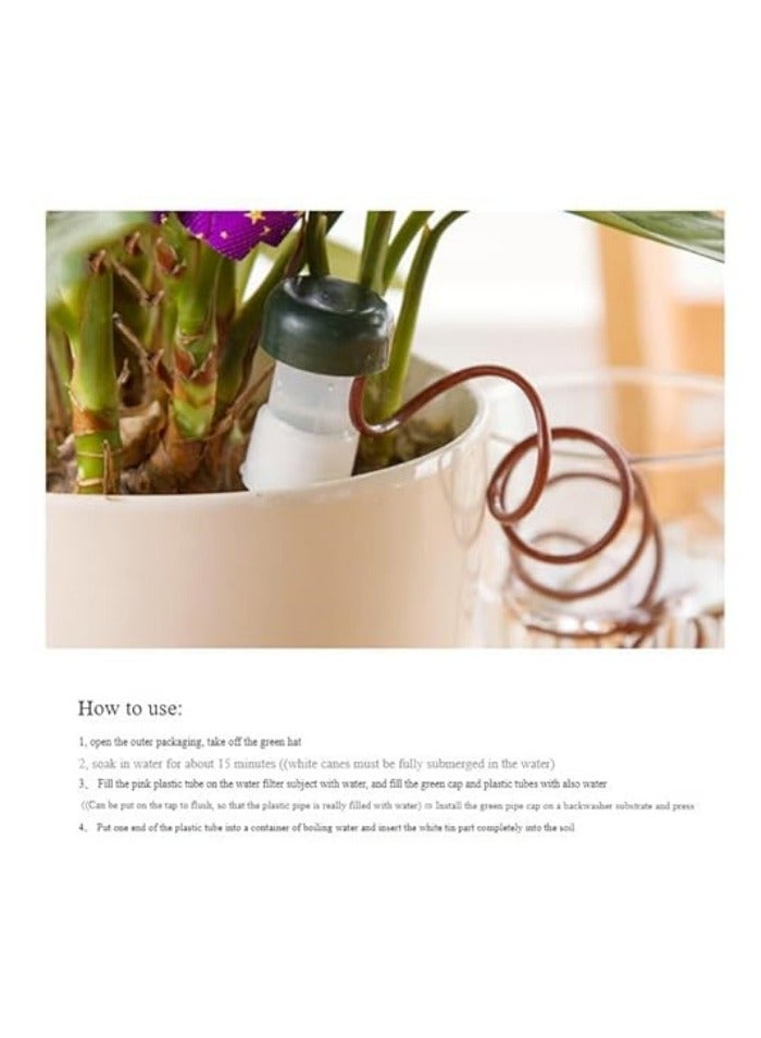 Generic Plant Self-Watering Stakes Automatic Plant Watering Spikes for Indoor or Outdoor Plants,Houseplant Insert Watering Devices for Vacation Garden use,Drip Irrigation System for Plant  - Image 3