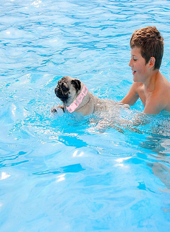 كولودوغو طوق كلاب مقاوم للماء من كولودوغو - طوق عاكس قابل للتعديل، طوق متين للكلاب الصغيرة والمتوسطة والكبيرة، مصنوع من مادة PVC سهلة التنظيف - ألوان متعددة، مقاسات (صغير، متوسط، كبير) - Image 5